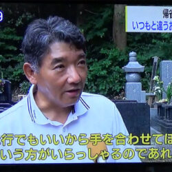 テレビ出演